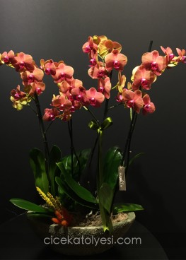 Turuncu Orkide Sepeti
