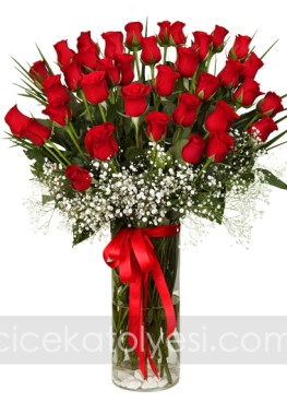 Uzun Boylu Kırımızı Güller 41 adet